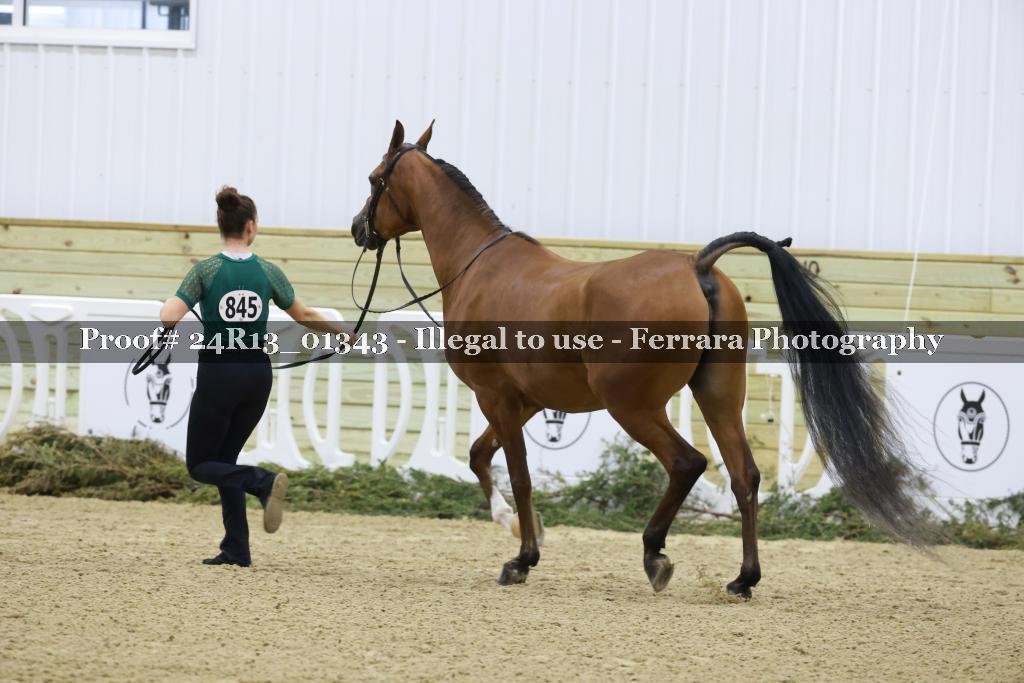 Proof Number 24R13_01343