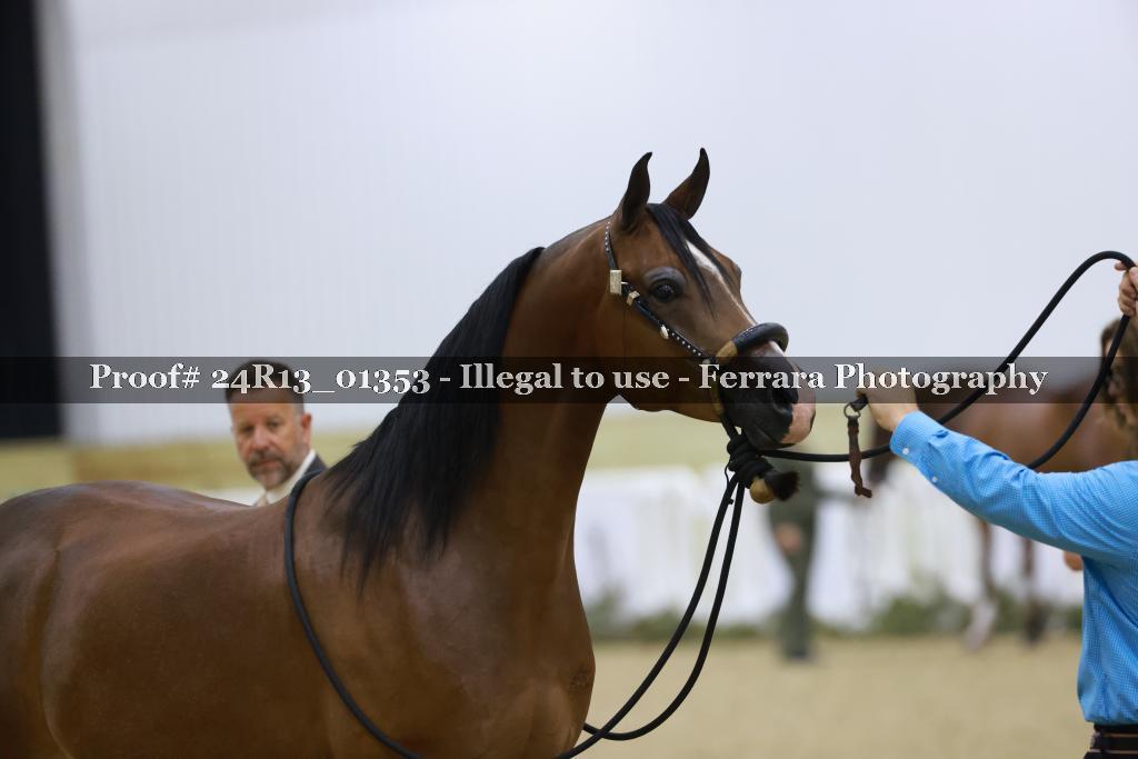 Proof Number 24R13_01353