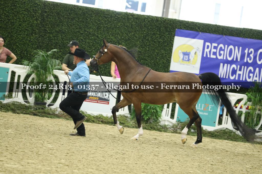 Proof Number 24R13_01357