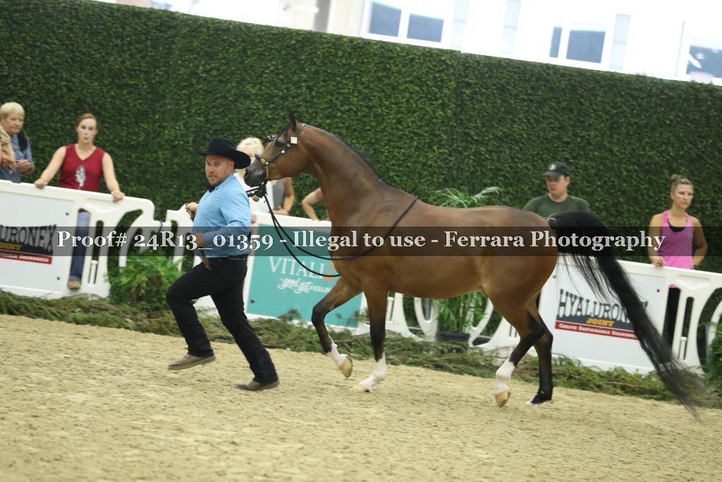 Proof Number 24R13_01359