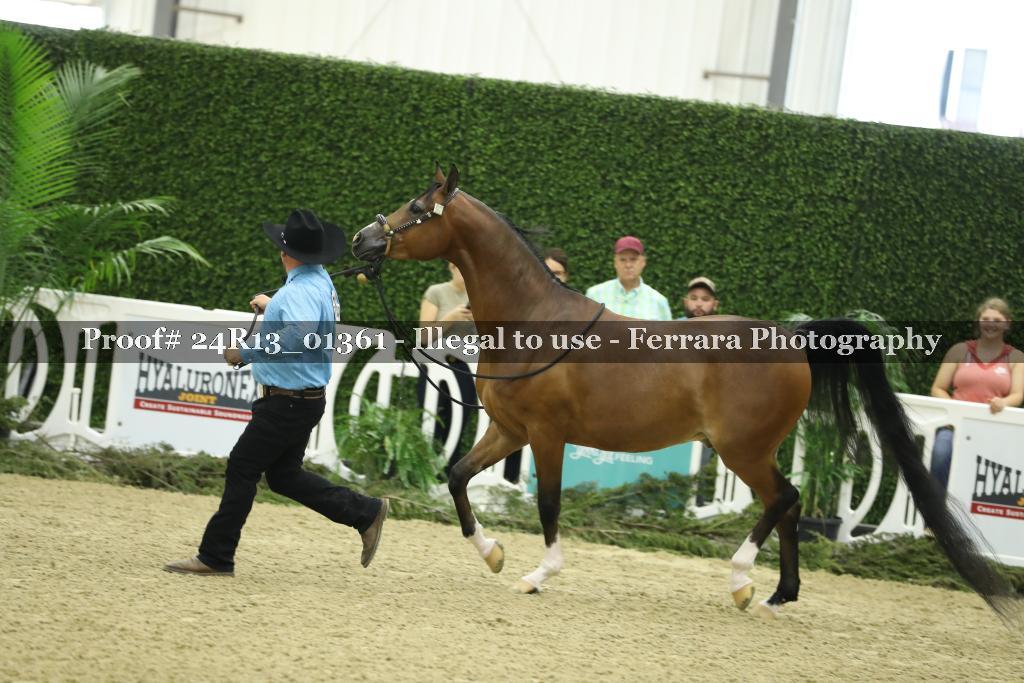 Proof Number 24R13_01361