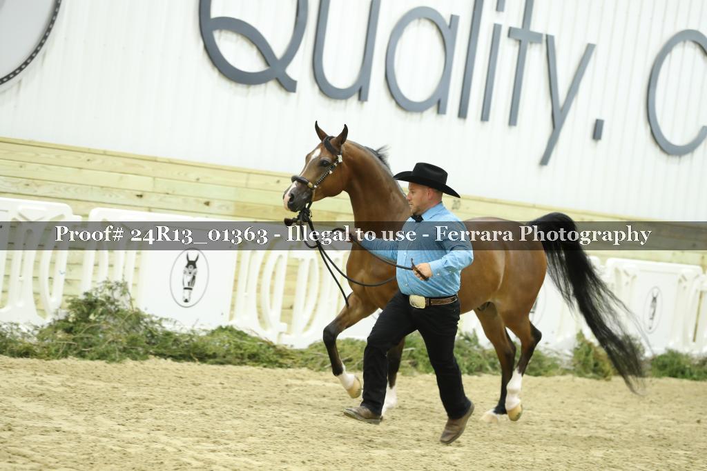 Proof Number 24R13_01363
