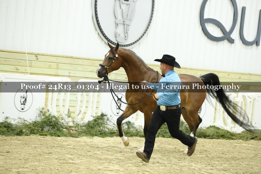 Proof Number 24R13_01364