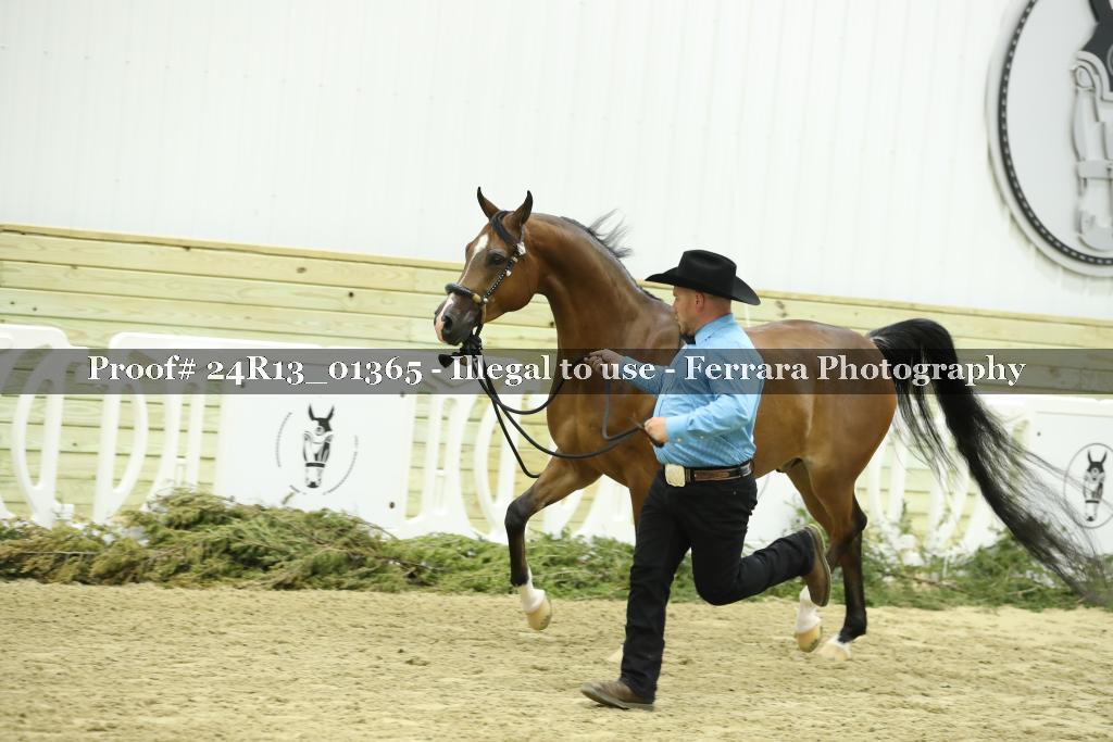 Proof Number 24R13_01365