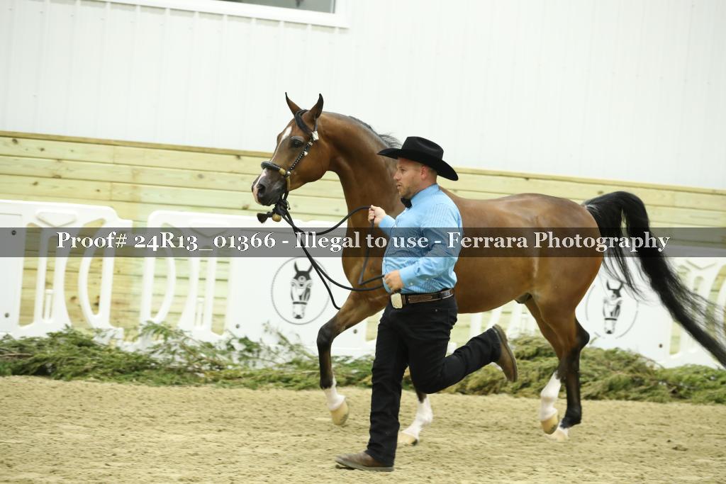 Proof Number 24R13_01366