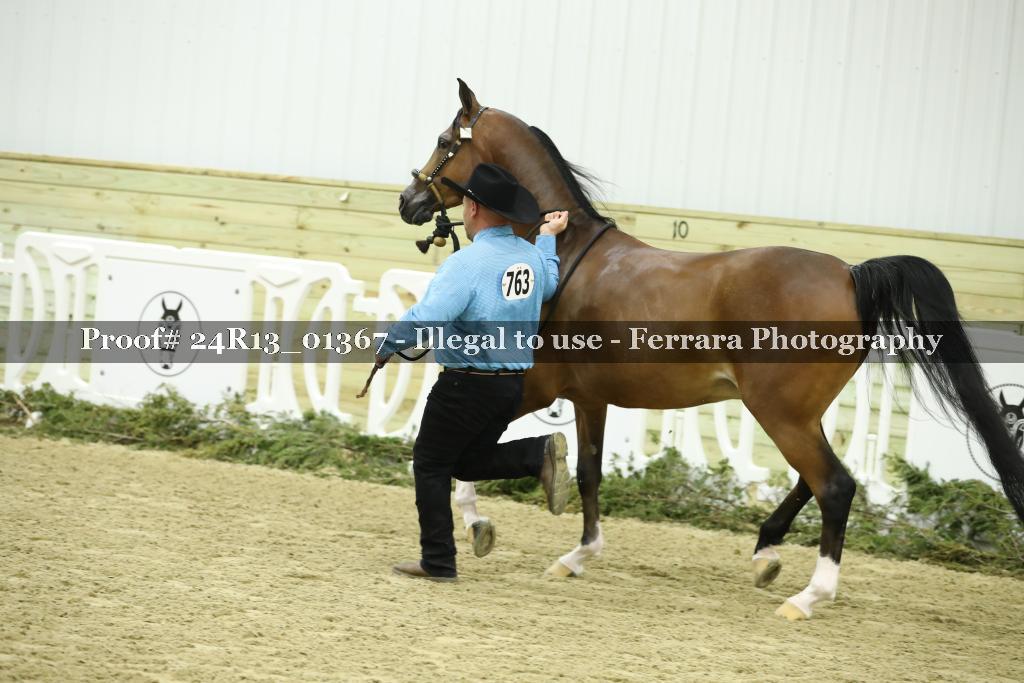 Proof Number 24R13_01367