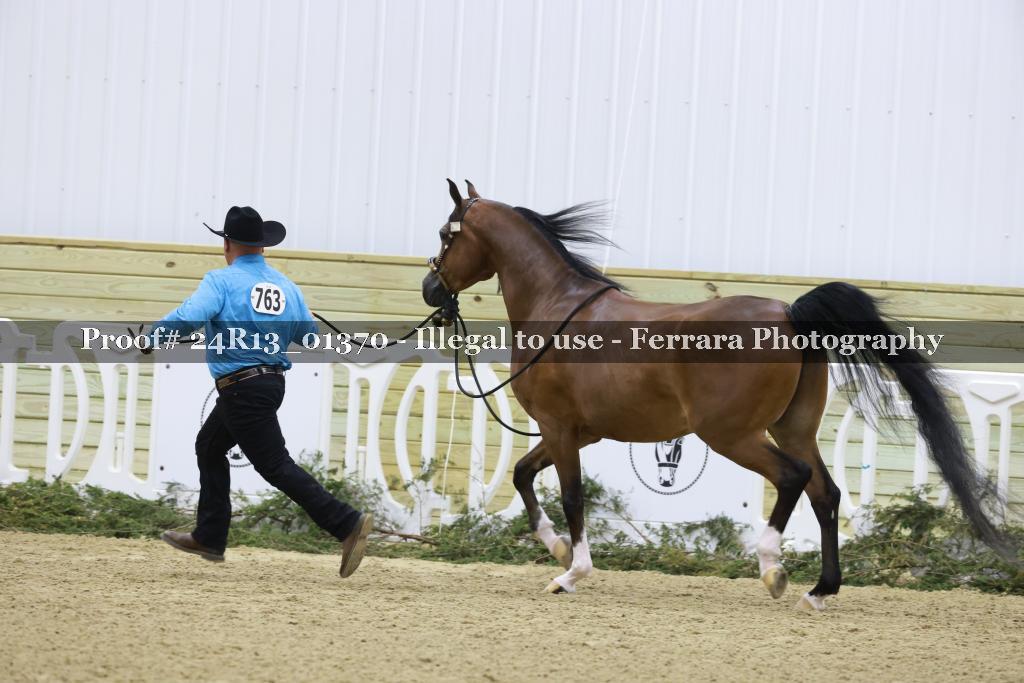 Proof Number 24R13_01370