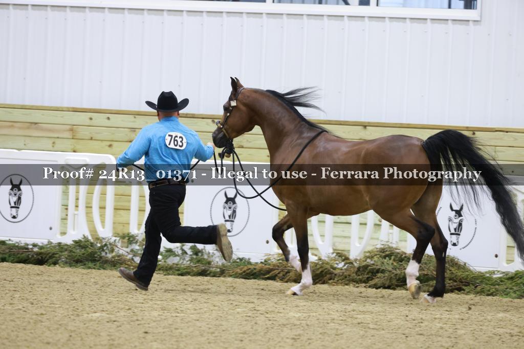 Proof Number 24R13_01371