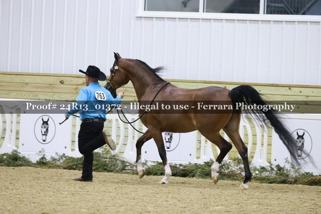 Proof Number 24R13_01372