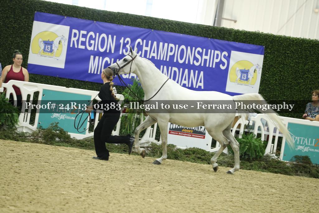 Proof Number 24R13_01383