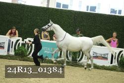 24R13_01384 thumbnail