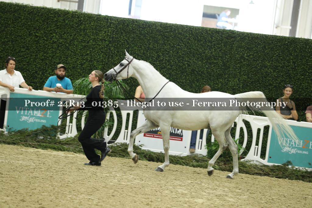 Proof Number 24R13_01385