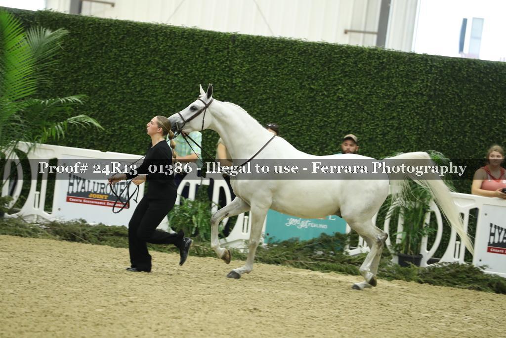 Proof Number 24R13_01386