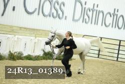 24R13_01389 thumbnail