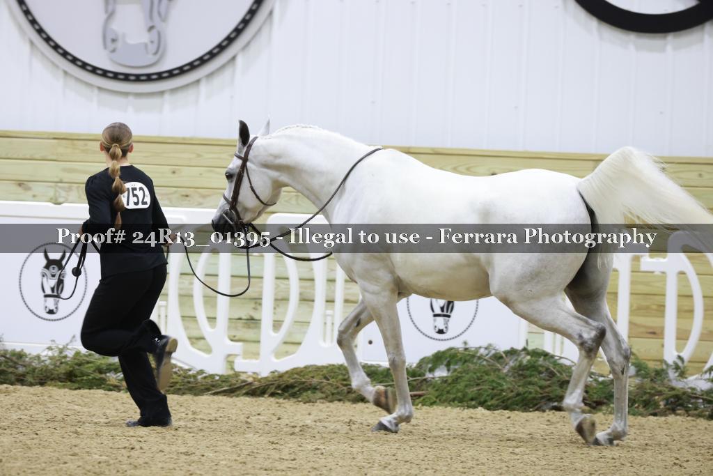 Proof Number 24R13_01395