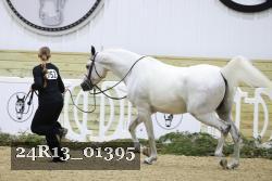 24R13_01395 thumbnail