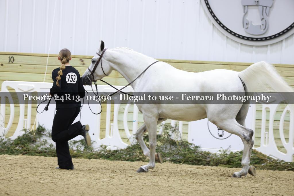 Proof Number 24R13_01396