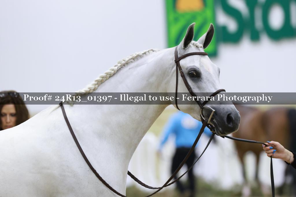 Proof Number 24R13_01397