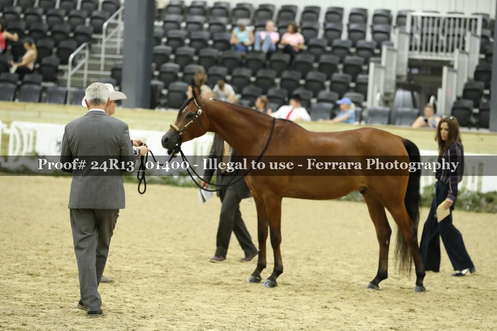 Proof Number 24R13_01400