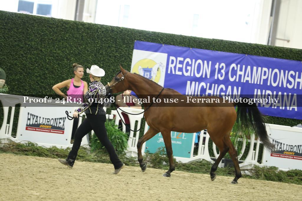 Proof Number 24R13_01408