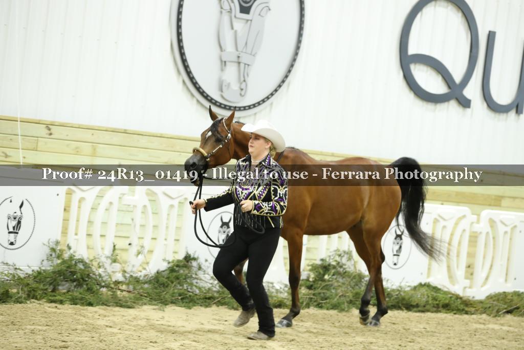 Proof Number 24R13_01419