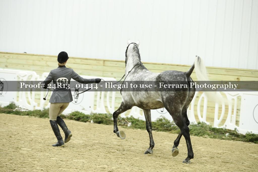 Proof Number 24R13_01444