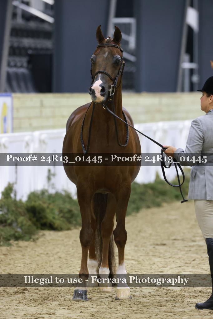 Proof Number 24R13_01445