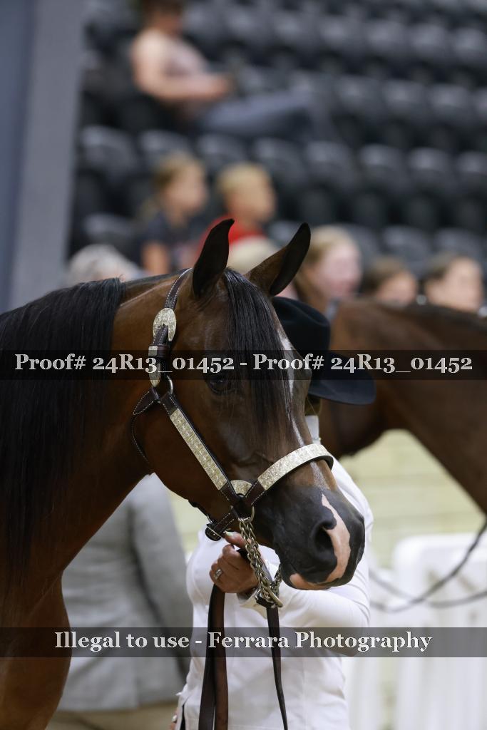 Proof Number 24R13_01452