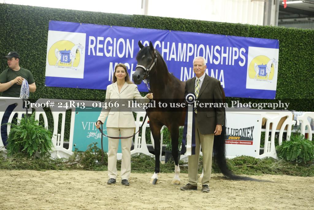 Proof Number 24R13_01466