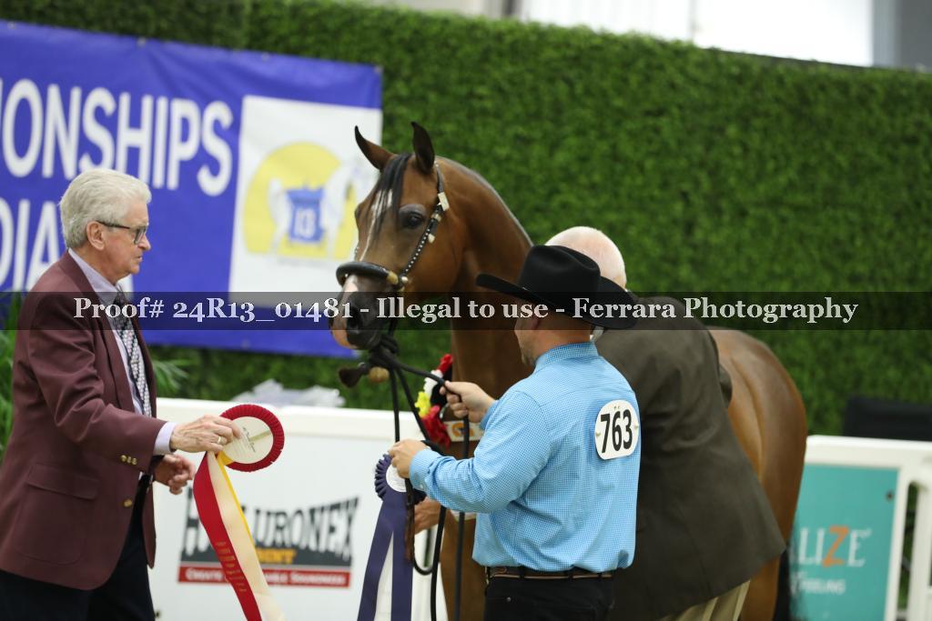 Proof Number 24R13_01481