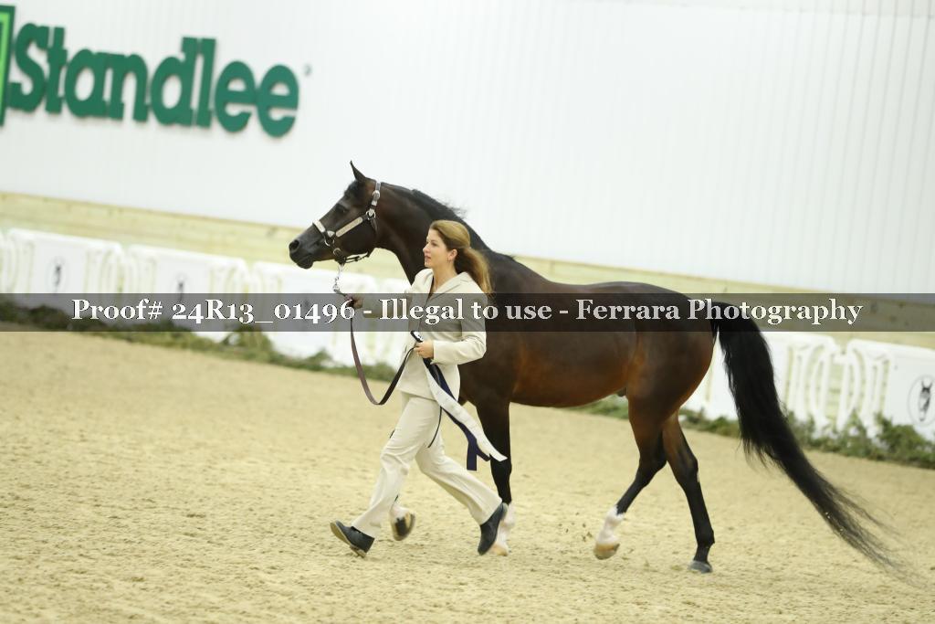 Proof Number 24R13_01496