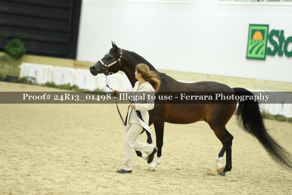 Proof Number 24R13_01498