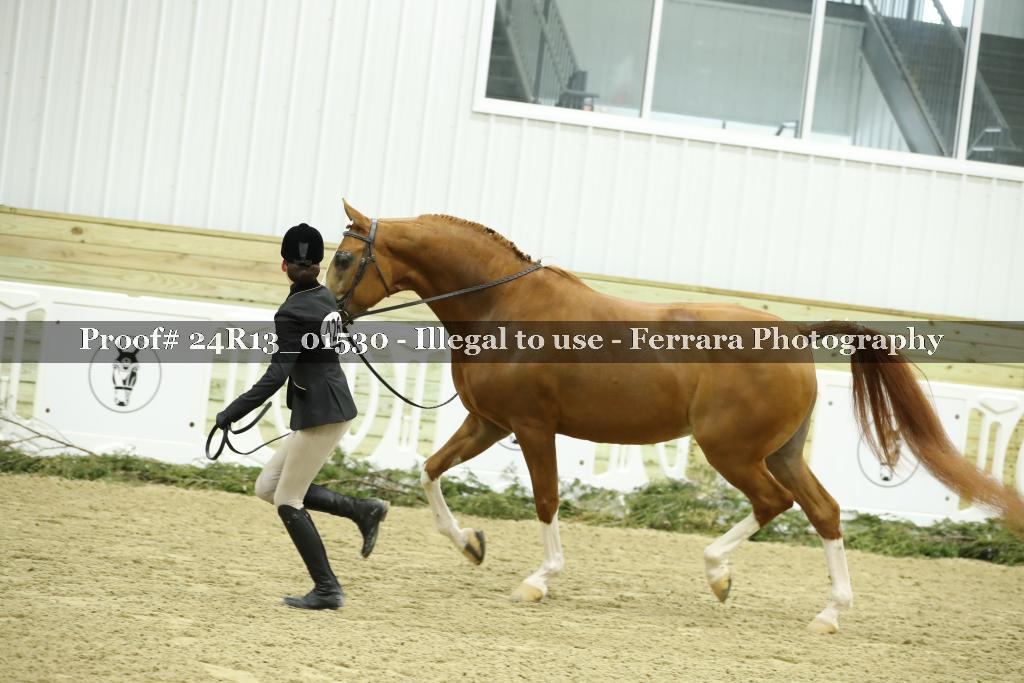 Proof Number 24R13_01530