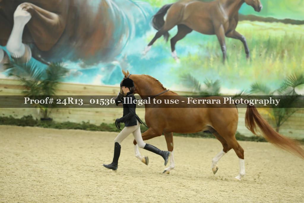 Proof Number 24R13_01536