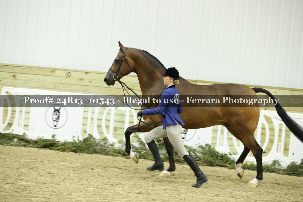 Proof Number 24R13_01543