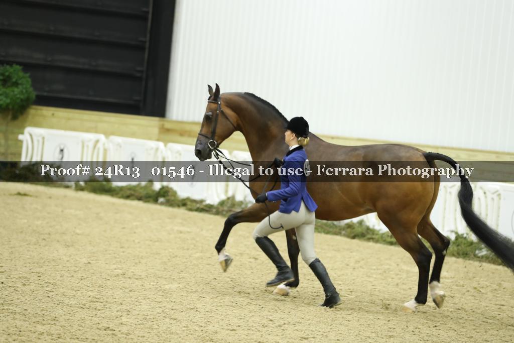 Proof Number 24R13_01546