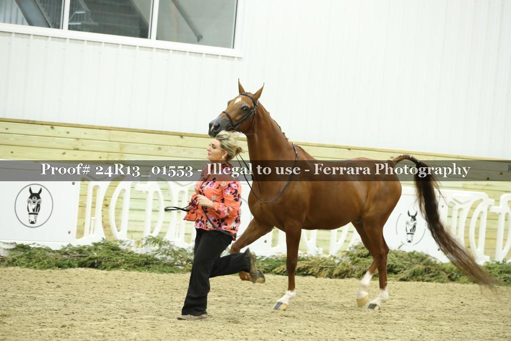 Proof Number 24R13_01553
