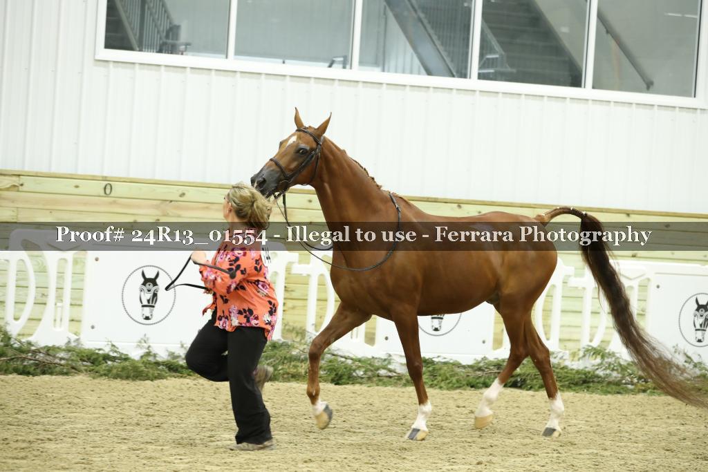 Proof Number 24R13_01554
