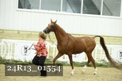 24R13_01554 thumbnail
