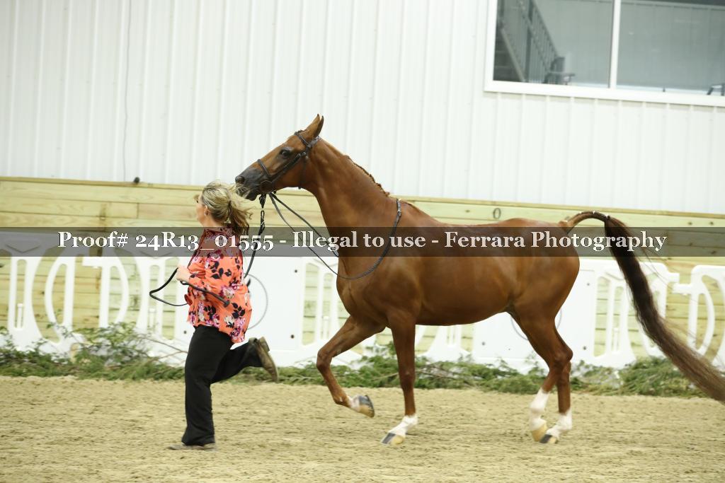 Proof Number 24R13_01555