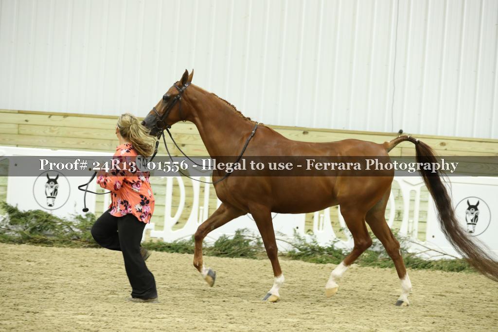 Proof Number 24R13_01556