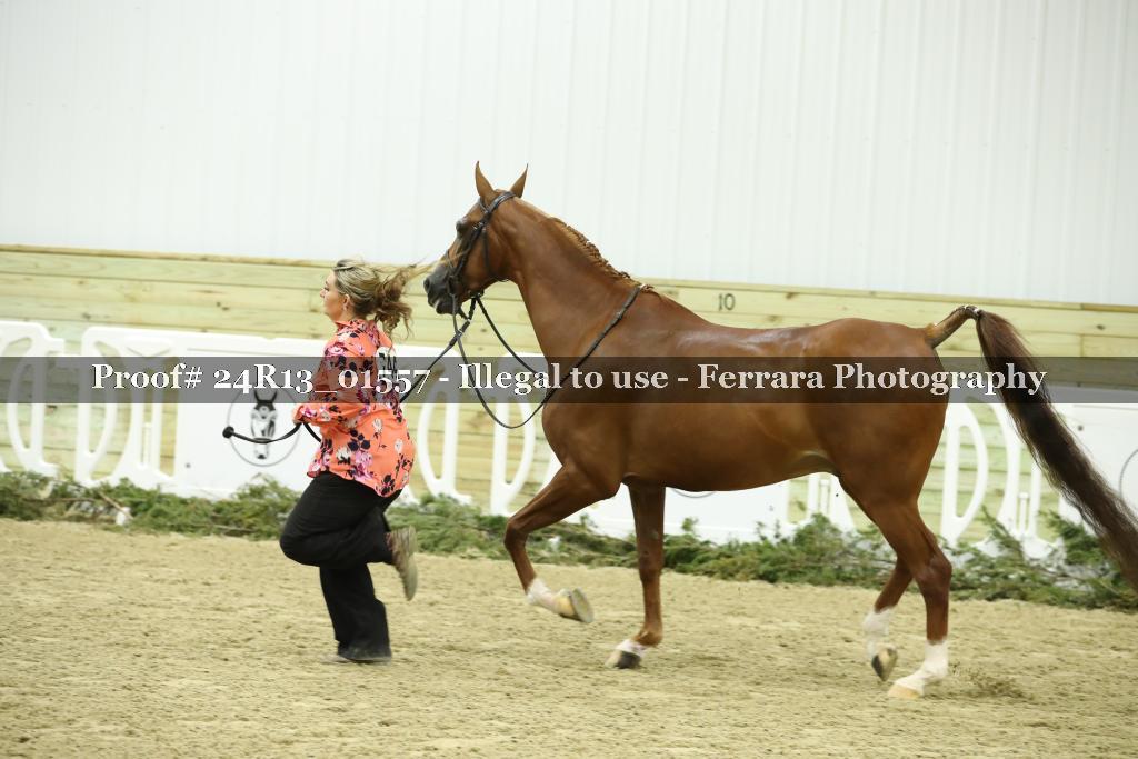 Proof Number 24R13_01557