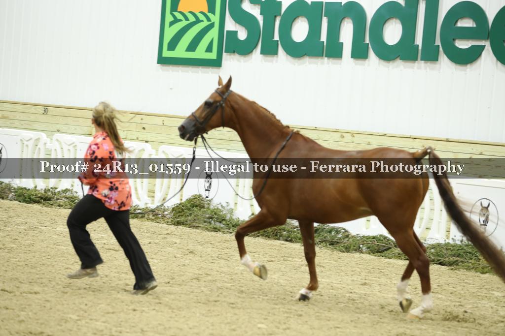 Proof Number 24R13_01559