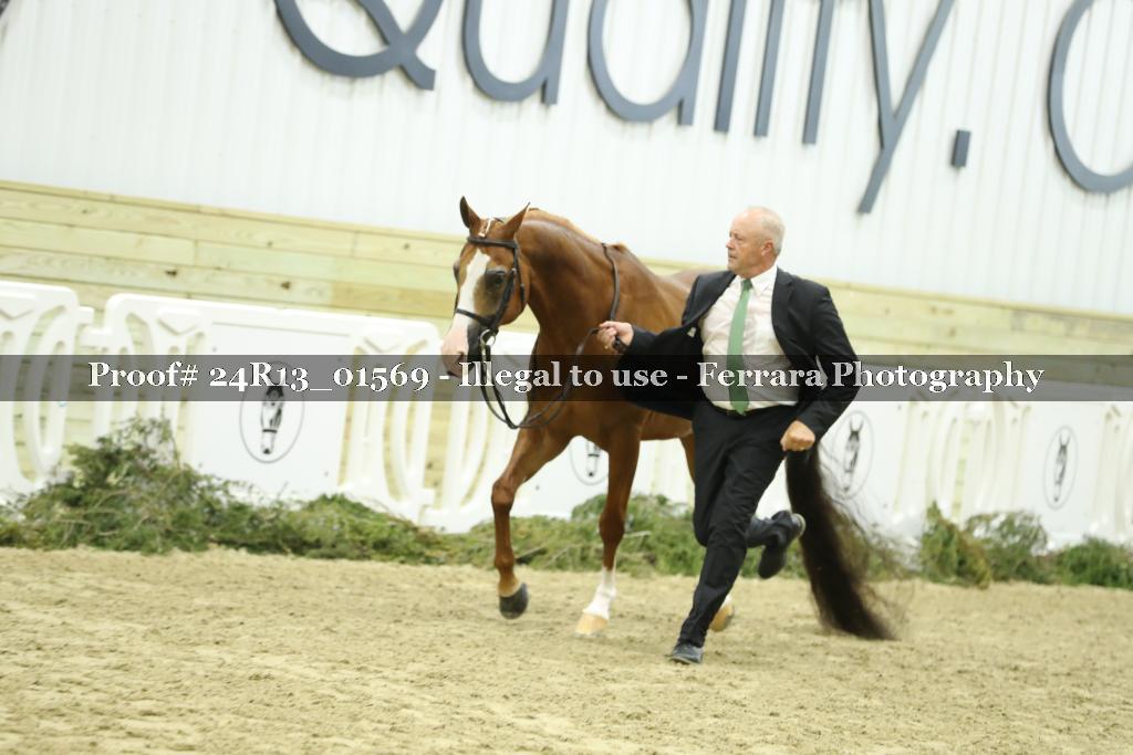 Proof Number 24R13_01569