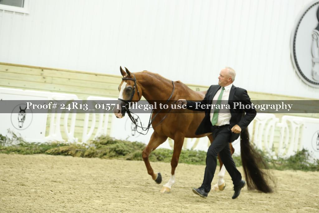 Proof Number 24R13_01571