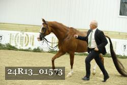 24R13_01573 thumbnail
