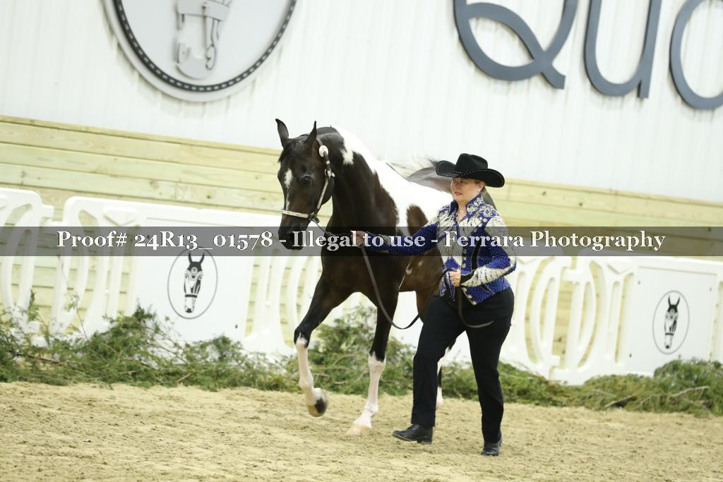 Proof Number 24R13_01578