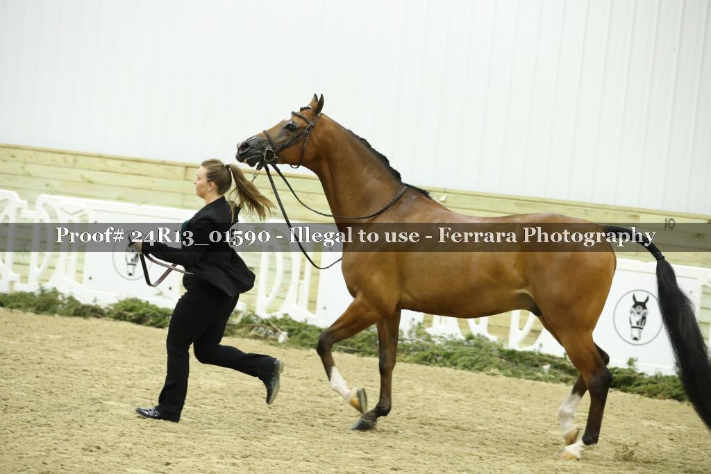 Proof Number 24R13_01590
