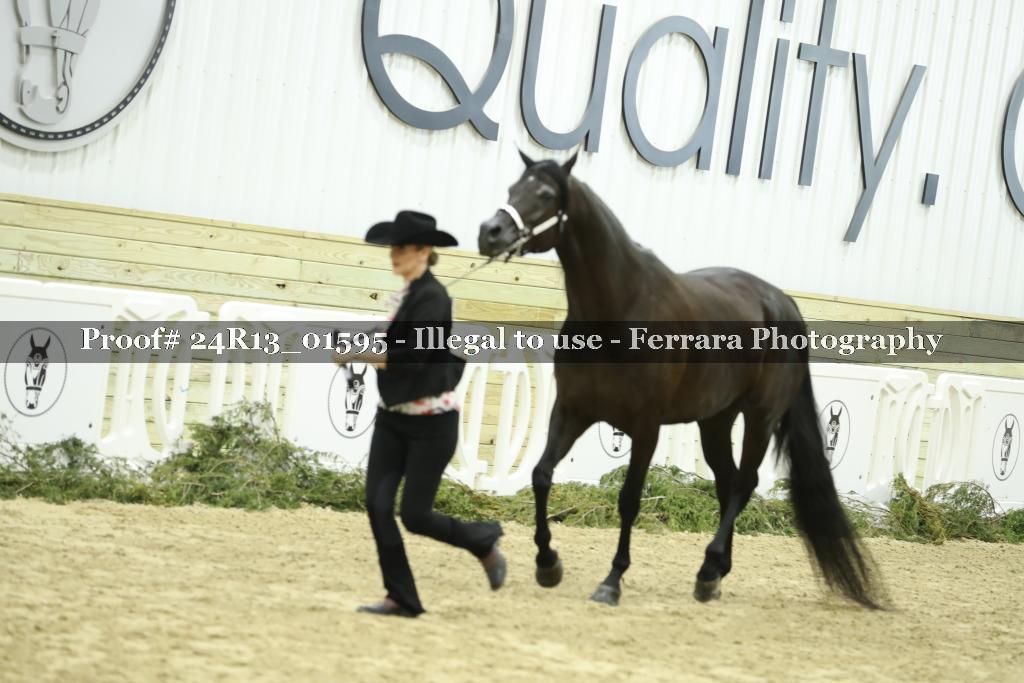 Proof Number 24R13_01595