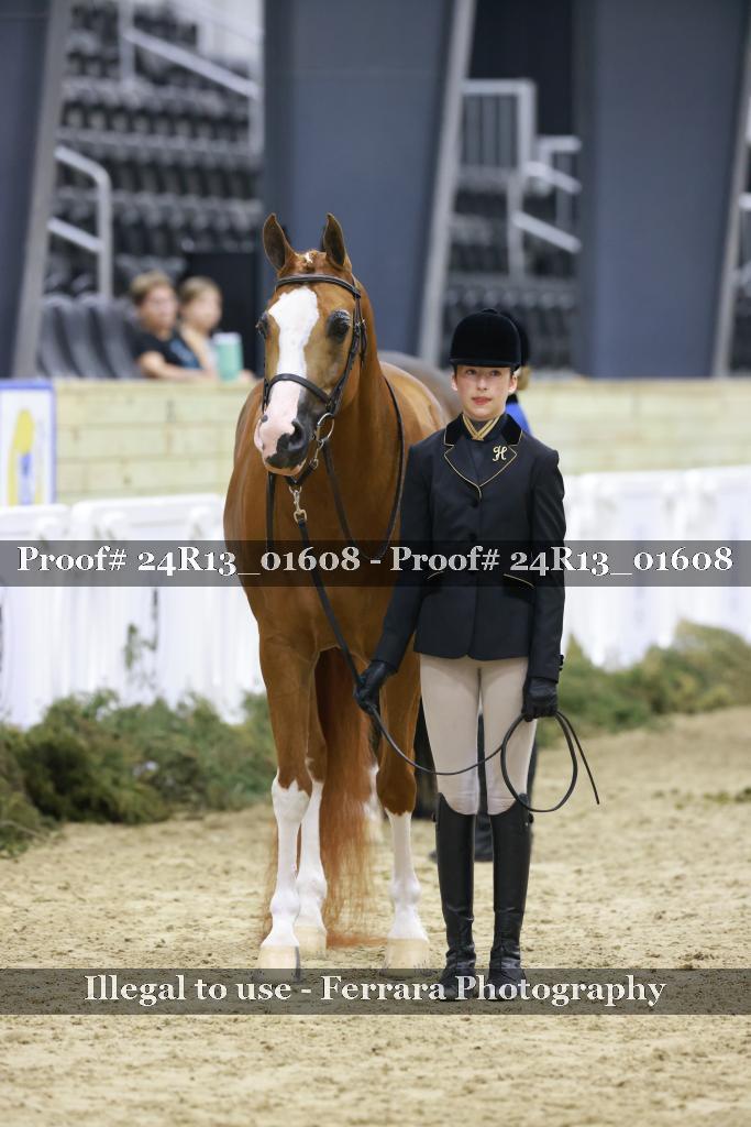 Proof Number 24R13_01608